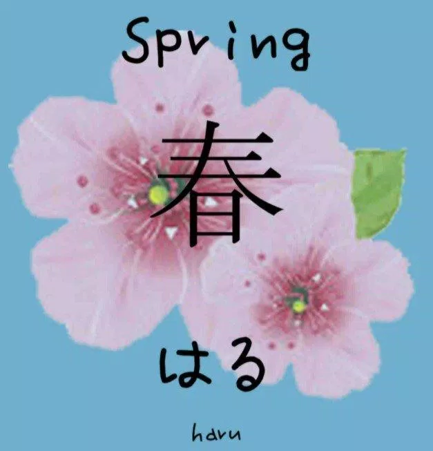 Haru (春) trong tiếng Nhật có nghĩa là mùa xuân (Ảnh: Internet)