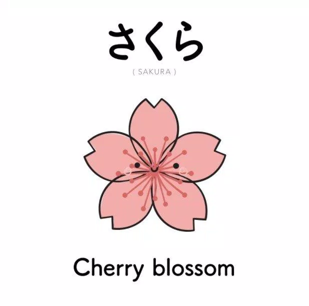 Sakura là hoa anh đào (Ảnh: Internet)