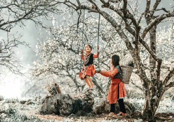 Cao nguyên mộng mơ Bắc Hà mùa hoa trắng (Ảnh: Internet). Cao nguyên mộng mơ Bắc Hà mùa hoa trắng (Ảnh: Internet).