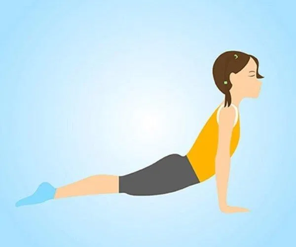 Tư thế rắn hổ mang (Ảnh Internet)