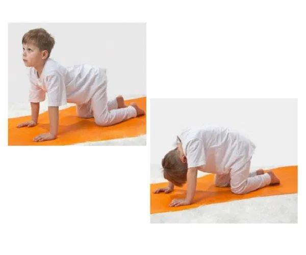 Tư thế con mèo (Ảnh Internet)