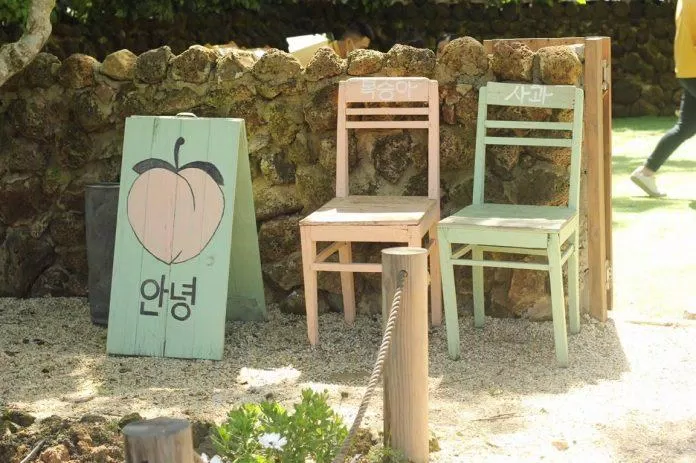 Jeju với những bức tường đá trông như những ngôi nhà ở Hàn Quốc.