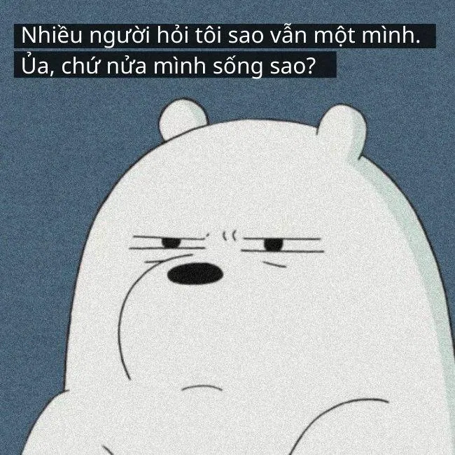 Ảnh: Internet Ảnh: Internet