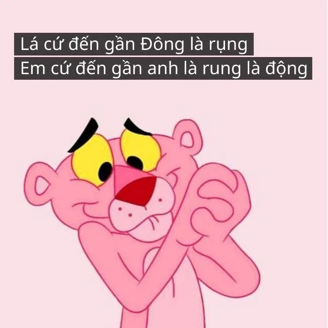 Ảnh: Internet Ảnh: Internet