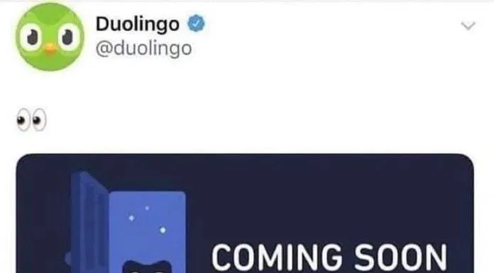 Người dùng bị Duolingo "khủng bố" buộc phải học (Ảnh: Internet). Người dùng bị Duolingo "khủng bố" buộc phải học (Ảnh: Internet).