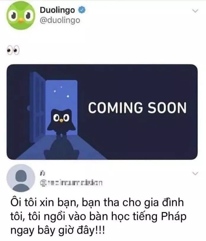 Người dùng bị Duolingo "khủng bố" buộc phải học (Ảnh: Internet). Người dùng bị Duolingo "khủng bố" buộc phải học (Ảnh: Internet).