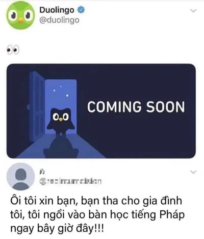 Người dùng bị Duolingo "khủng bố" buộc phải học (Ảnh: Internet). Người dùng bị Duolingo "khủng bố" buộc phải học (Ảnh: Internet).