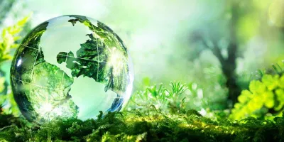Môi trường sống rất quan trọng (Nguồn: Internet). Môi trường sống rất quan trọng (Nguồn: Internet).