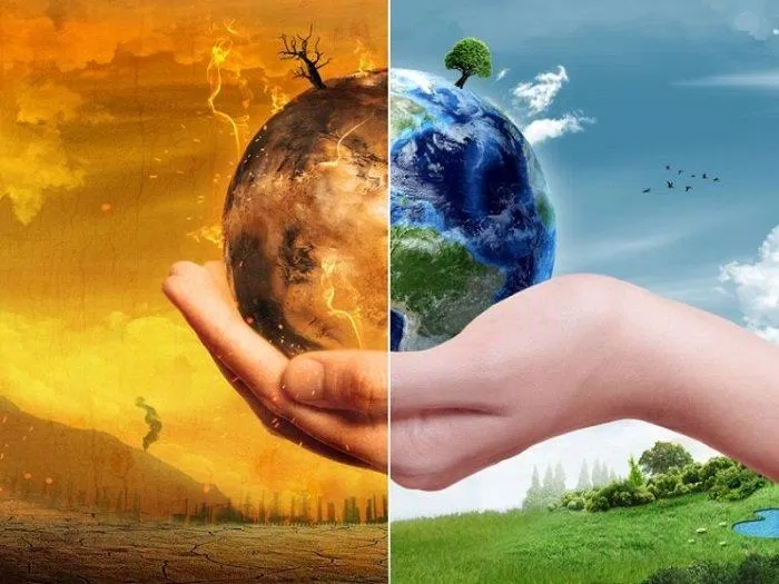 7 việc làm giúp bảo vệ môi trường - Đơn giản mà hiệu quả không ngờ -  BlogAnChoi