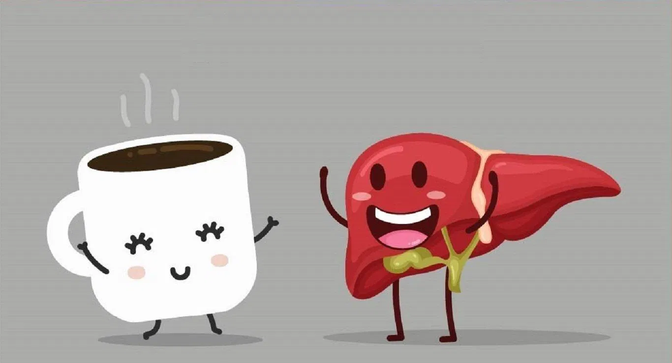 Cà phê được coi là thực phẩm tốt cho gan nếu dùng hợp lý (Ảnh: Internet). Cà phê được coi là thực phẩm tốt cho gan nếu dùng hợp lý (Ảnh: Internet).