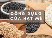 cong dung cua hat me