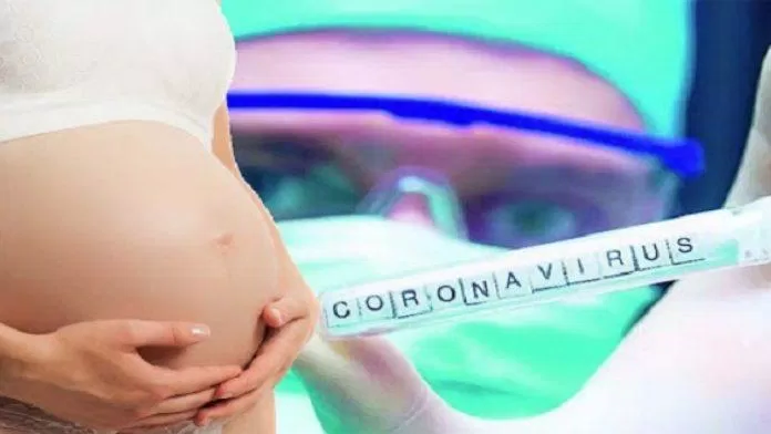 COVID-19 có thể ảnh hưởng nghiêm trọng đến thai kỳ (Ảnh: Internet).