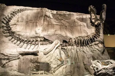 Hóa thạch khủng long tại Drumheller (Ảnh: Internet). Hóa thạch khủng long tại Drumheller (Ảnh: Internet).