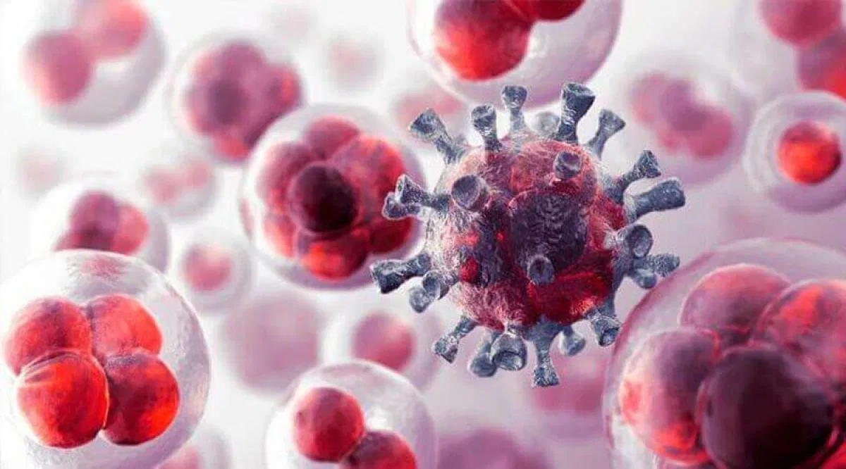 Dùng đậu phụ giúp ức chế các tế bào ung thư (Nguồn: Internet)