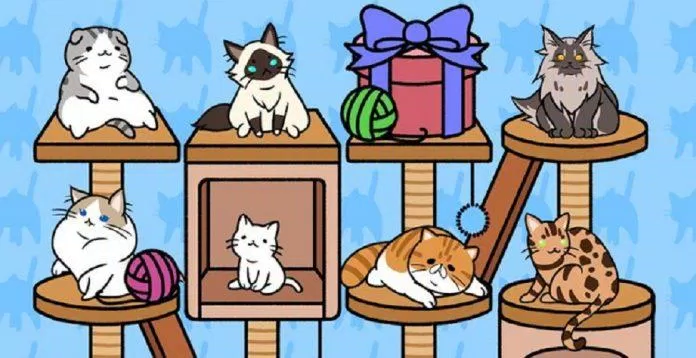 Có nhiều giống mèo khác nhau để bạn lựa chọn (Ảnh: Internet). Có nhiều giống mèo khác nhau để bạn lựa chọn (Ảnh: Internet).