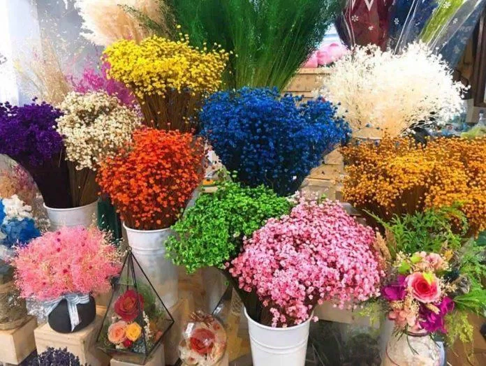 Một số loại hoa khô. (Ảnh: Internet)