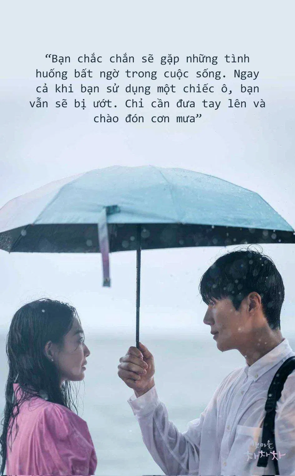 Những câu nói hay về cuộc sống trong Homtown Cha cha cha. (Ảnh: Internet)