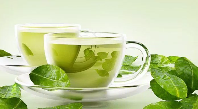 Ít ai biết uống trà xanh tăng cường sức khỏe cho phổi (Nguồn: Internet)