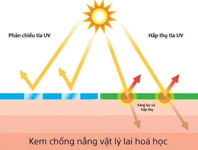 Cơ chế tác động của kem chống nắng vật lý lai hóa học (Ảnh: Internet).