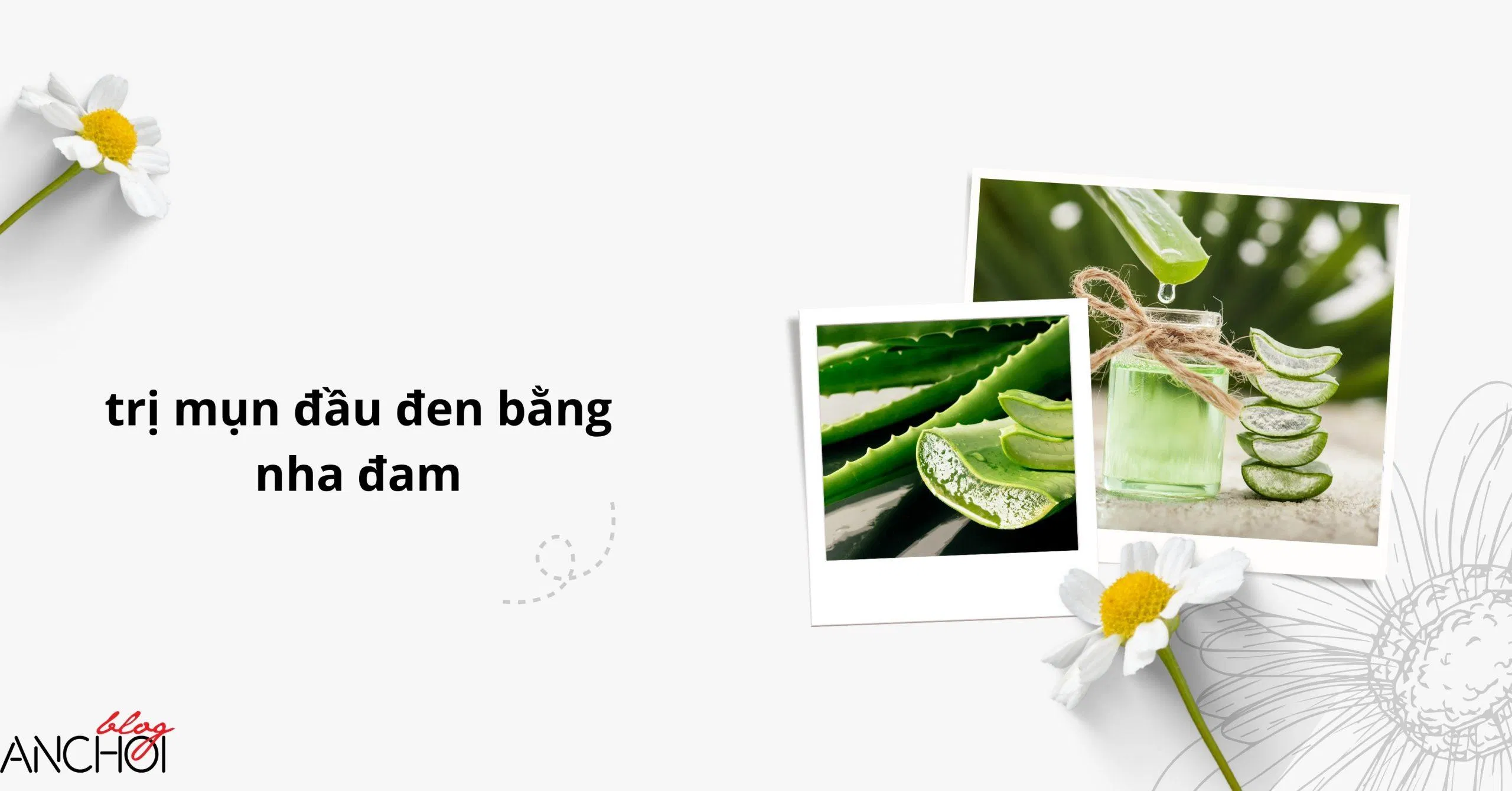 Nha đam là một trong những nguồn nguyên liệu tự nhiên có tác dụng làm đẹp da nhất ( nguồn: BlogAnChoi)