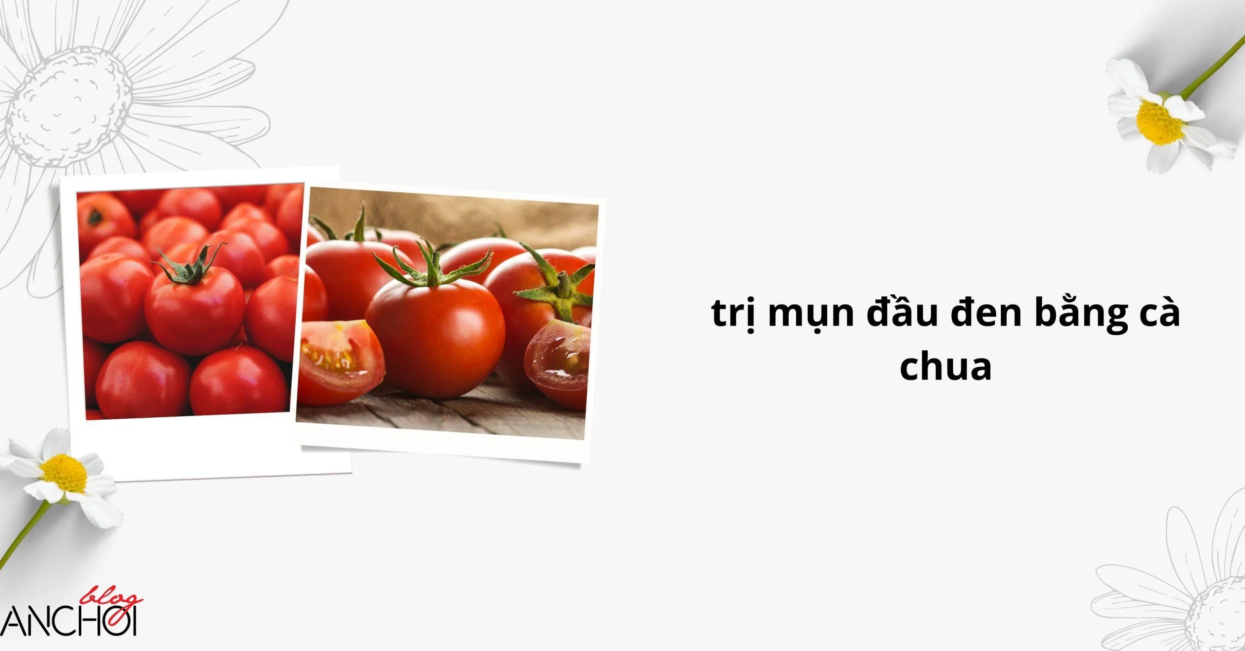 Cà chua là phương pháp nhân gian kinh điển nhất của mọi cô nàng giúp trị mụn đầu đen ( Nguồn: BlogAnChoi)