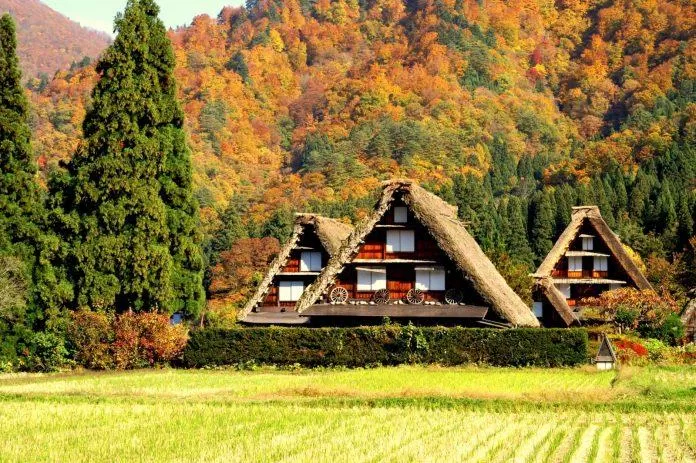 Làng Shirakawago vào mùa thu (Ảnh: Internet). Làng Shirakawago vào mùa thu (Ảnh: Internet).