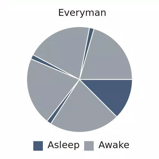 Kiểu ngủ Everyman (Ảnh: Internet).