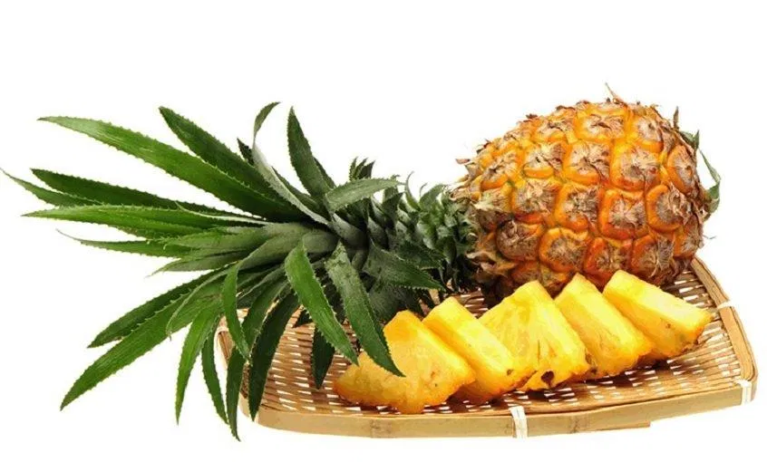 Dứa thơm ngon nhưng những người đang điều trị các bệnh liên quan đến dạ dày nên hạn chế (Ảnh: Internet). Dứa thơm ngon nhưng những người đang điều trị các bệnh liên quan đến dạ dày nên hạn chế (Ảnh: Internet).