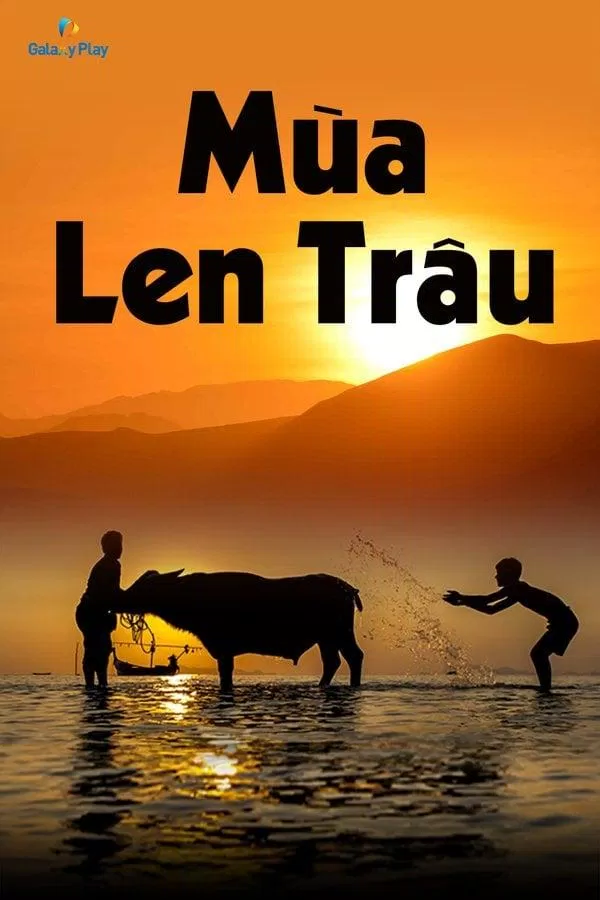 Poster phim Mùa len trâu (Ảnh: Internet)