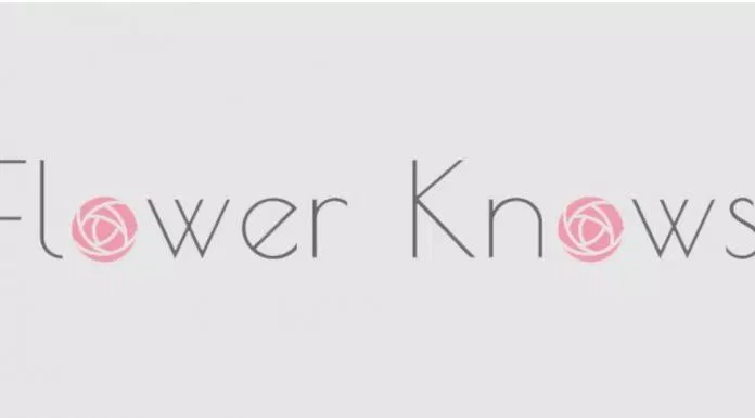 Thương hiệu Flower Knows nổi tiếng với các sản phẩm có thiết kế cổ điển (Nguồn: Internet)