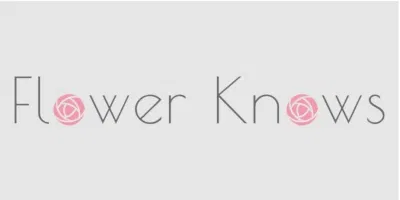 Thương hiệu Flower Knows nổi tiếng với các sản phẩm có thiết kế cổ điển (Nguồn: Internet)