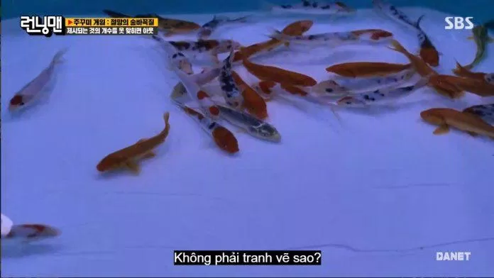 Và vòng cuối cùng vẫn là đếm số lượng cá. (Ảnh: Internet). Và vòng cuối cùng vẫn là đếm số lượng cá. (Ảnh: Internet).