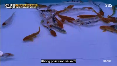 Và vòng cuối cùng vẫn là đếm số lượng cá. (Ảnh: Internet). Và vòng cuối cùng vẫn là đếm số lượng cá. (Ảnh: Internet).