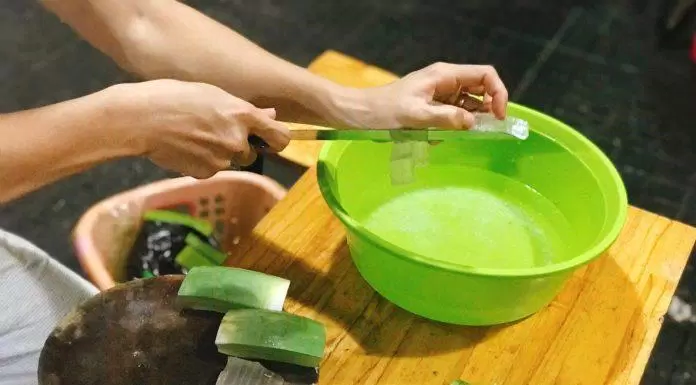3 món ăn vặt làm từ sữa tươi, chế biến đơn giản chỉ trong một nốt nhạc ăn vặt bánh flan cách làm cách làm bánh cách làm bánh flan Cách làm sữa chua nha đam Cách nấu sữa gạo rang Hàn Quốc dinh dưỡng đơn giản giá trị làm bánh Làm caramen món ăn Món ăn vặt món ăn vặt làm từ sữa tươi nguyên liệu Nguyên liệu và dụng cụ làm bánh Flan Nguyên liệu và dụng cụ làm sữa chua nha đam Nguyên liệu và dụng cụ nấu sữa gạo rang Hàn Quốc nha đam nồi cơm điện Rang gạo Sơ chế nha đam sữa chua sữa chua nha đam Sữa gạo rang Hàn Quốc sữa tươi trứng gà Ủ sữa chua
