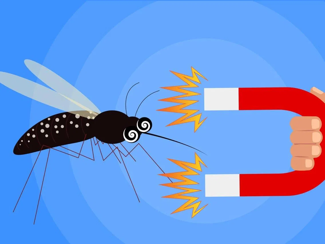 Bạn có phải là tuýp người hút muỗi? (Ảnh: Internet). Bạn có phải là tuýp người hút muỗi? (Ảnh: Internet).