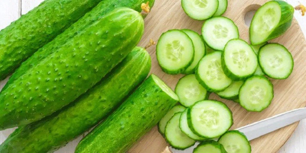 Dưa chuột nên sử dụng khi còn tươi ngon (Ảnh: Internet). Dưa chuột nên sử dụng khi còn tươi ngon (Ảnh: Internet).