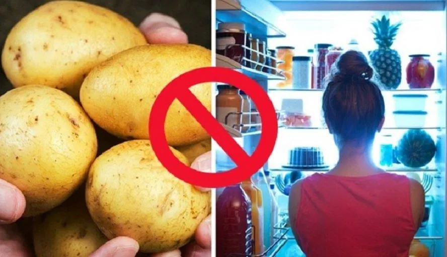 Khoai tây để trong tủ lạnh sẽ mất hương vị và chất dinh dưỡng (Ảnh: Internet). Khoai tây để trong tủ lạnh sẽ mất hương vị và chất dinh dưỡng (Ảnh: Internet).