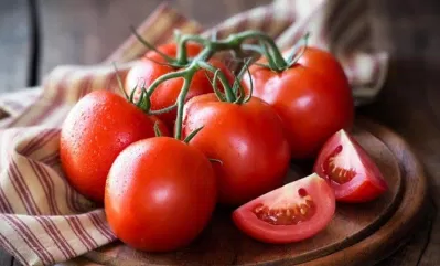 Những trái cà chua căng mọng sẽ bị héo và mất chất dinh dưỡng nếu gặp nhiệt độ lạnh (Ảnh: Internet).