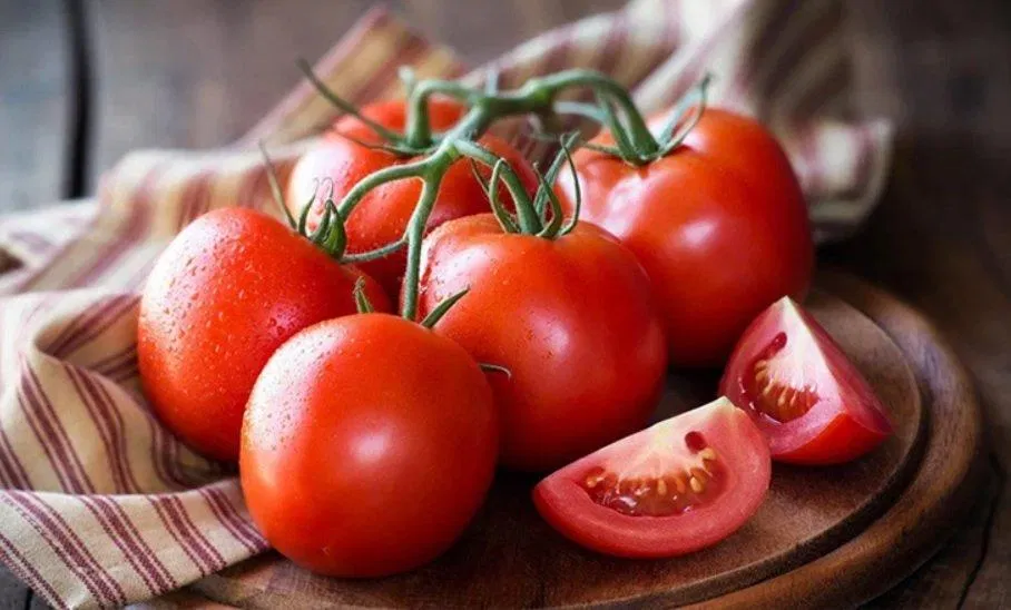 Những trái cà chua căng mọng sẽ bị héo và mất chất dinh dưỡng nếu gặp nhiệt độ lạnh (Ảnh: Internet). Những trái cà chua căng mọng sẽ bị héo và mất chất dinh dưỡng nếu gặp nhiệt độ lạnh (Ảnh: Internet).