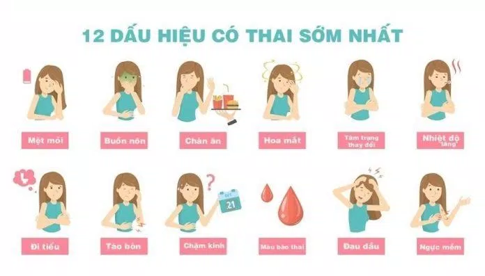 Một số dấu hiệu có thai sớm (Ảnh: Internet). Một số dấu hiệu có thai sớm (Ảnh: Internet).