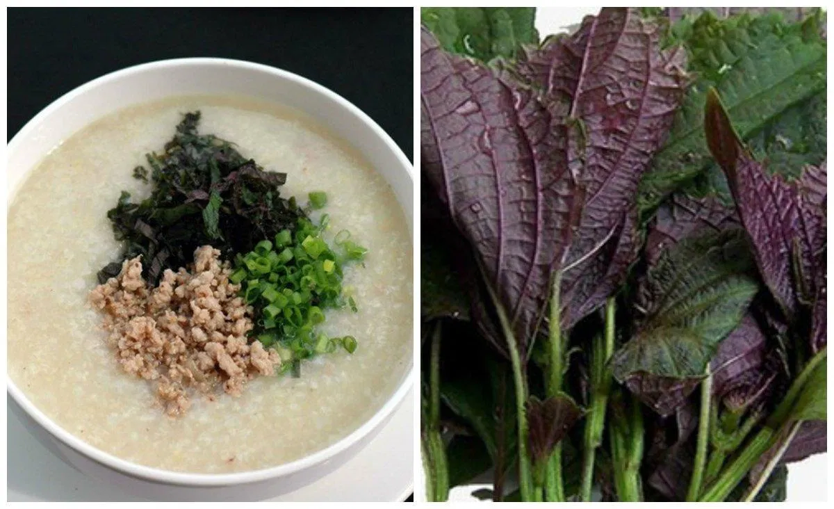 Cháo tía tô giúp bạn trị nhiều bệnh (Nguồn: Internet)