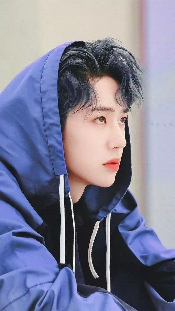 Mọi nỗ lực đã tạo nên một Vương Nhất Bác như ngày hôm nay (Ảnh: Internet)