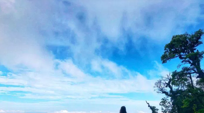 Biển mây bồng bềnh như đường lên tiên cảnh (Nguồn: minhlakhenh).