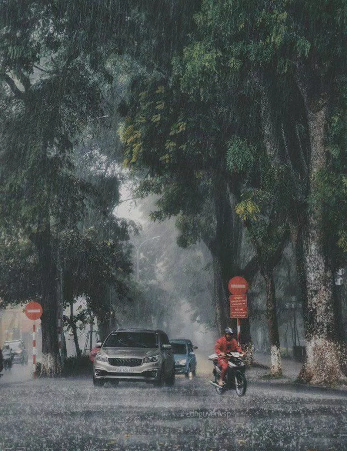 Em chưa kịp cùng anh đi dưới cơn mưa mùa hạ (Ảnh: Internet). Em chưa kịp cùng anh đi dưới cơn mưa mùa hạ (Ảnh: Internet).