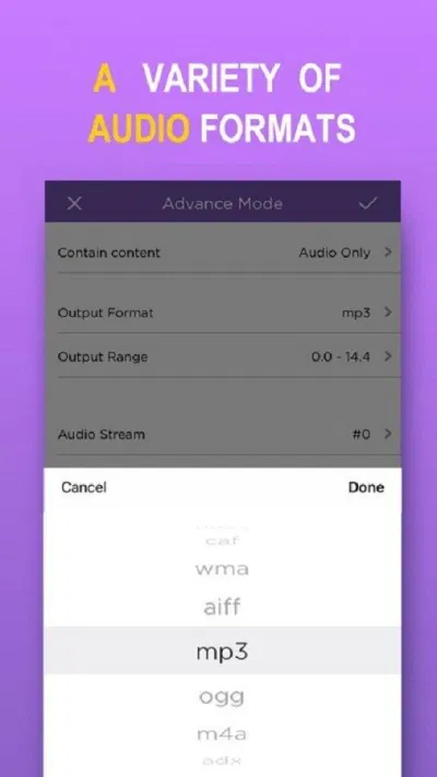 Có nhiều định dạng âm thanh khác nhau để chọn (Ảnh: Internet). Có nhiều định dạng âm thanh khác nhau để chọn (Ảnh: Internet).