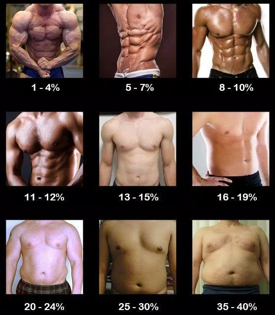Tỷ lệ mỡ cơ thể phản ánh sức khỏe chính xác hơn (Ảnh: Internet).