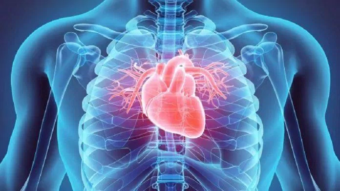 Lực nắm tay có liên quan với sức khỏe tim mạch (Ảnh: Internet).