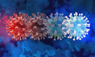 Virus liên tục xuất hiện biến thể mới (Ảnh: Internet). Virus liên tục xuất hiện biến thể mới (Ảnh: Internet).