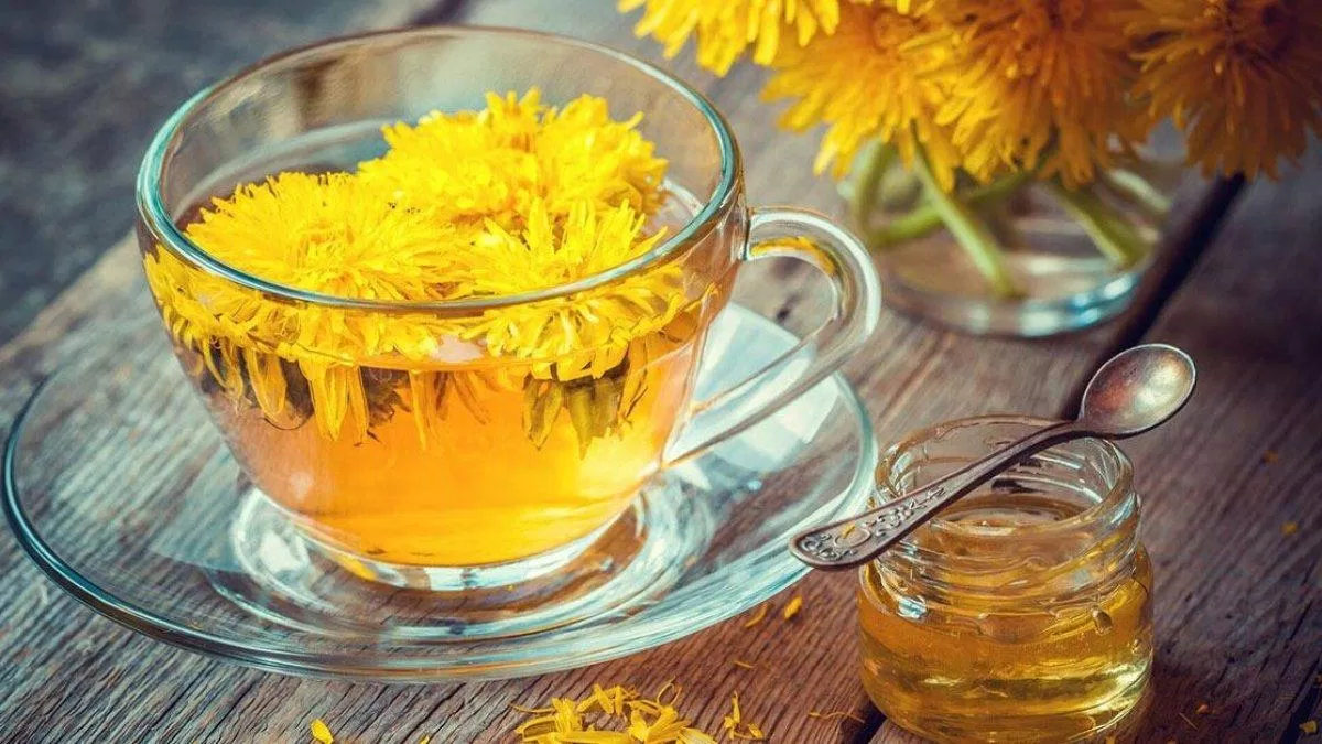 Bồ công anh có thể hỗ trợ điều trị ung thư? (Ảnh: Internet). Bồ công anh có thể hỗ trợ điều trị ung thư? (Ảnh: Internet).