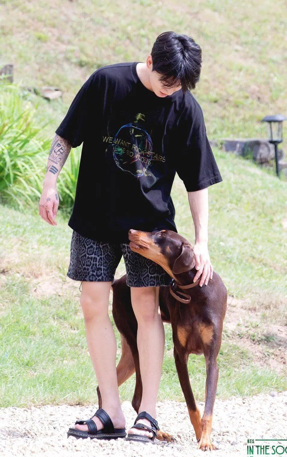 Fan cũng rất thích những phân đoạn Jungkook chơi đùa với thú cưng của mình. (Ảnh: Internet) Fan cũng rất thích những phân đoạn Jungkook chơi đùa với thú cưng của mình. (Ảnh: Internet)